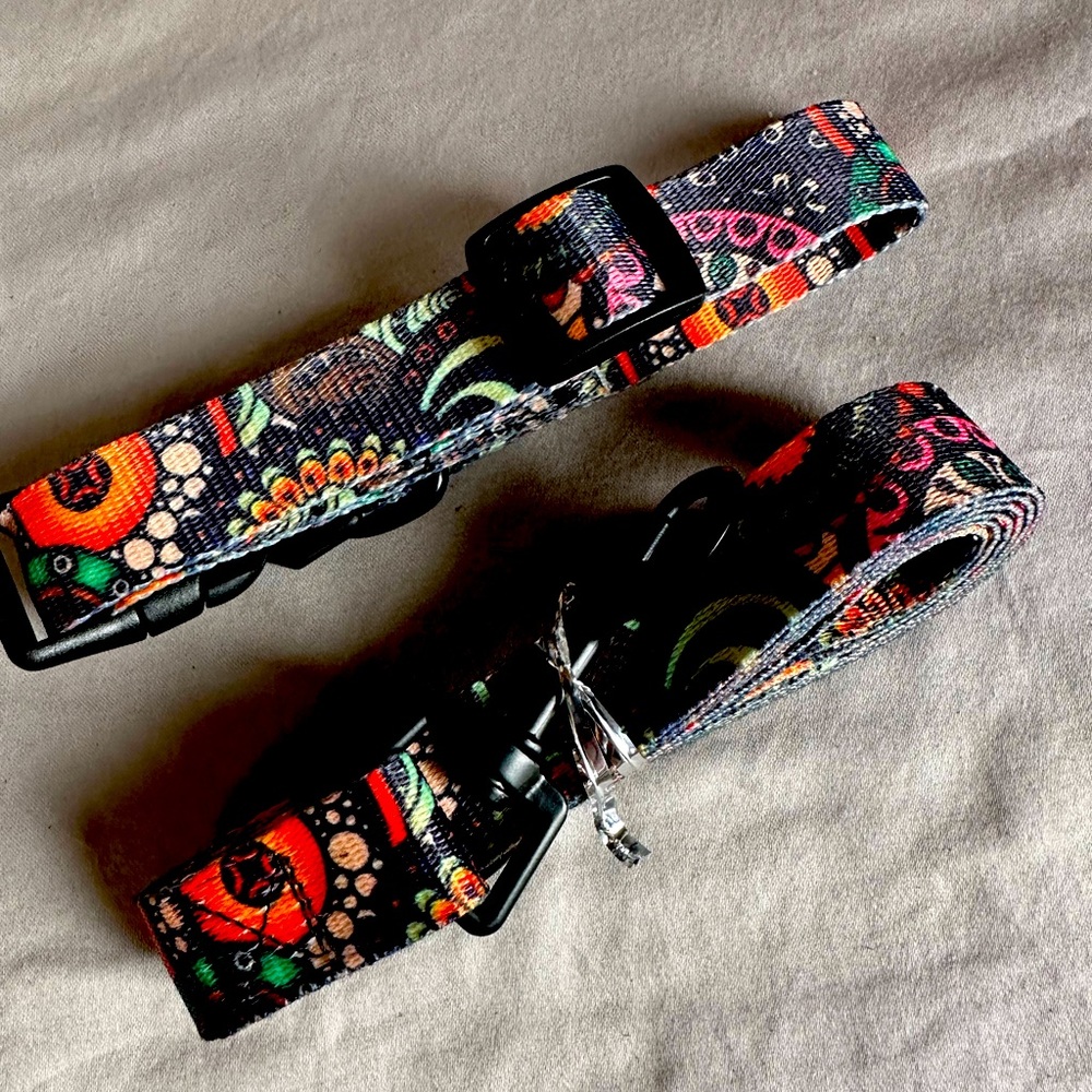 Dog collar and leash, matching in multiple sizes, small & EX large
